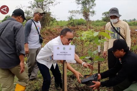 Upaya KLHK pulihkan lahan kritis jadi kawasan produktif
