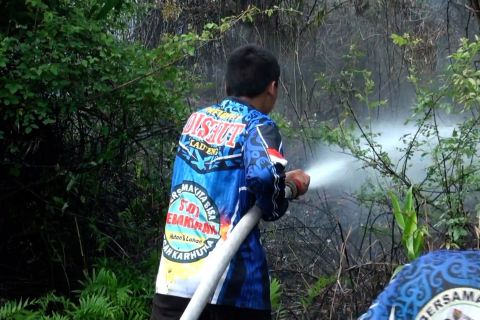 Satu hektare lahan gambut di Palangka Raya terbakar