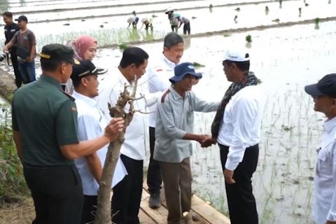 Gencarkan pompanisasi, Mentan tinjau kondisi petani di Jateng