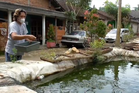 Temanggung tingkatkan peternakan dan perikanan melalui reforma agraria