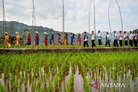 Festival Sawah meriahkan Hari Jadi ke-446 Kabupaten Sumedang