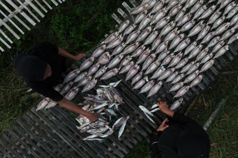 Harga ikan asin naik di Bombana