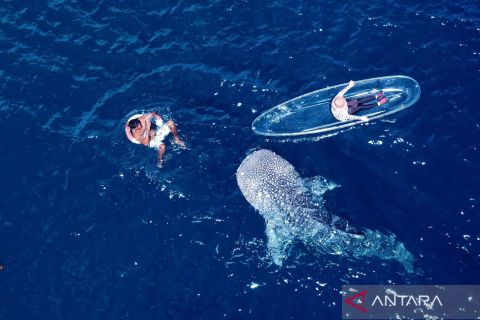 Foto pilihan pekan keempat Mei 2024