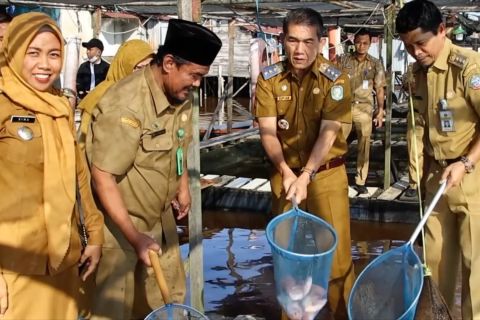 Sektor perikanan dongkrak ekonomi masyarakat bantaran Sungai Kapuas