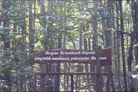 Ekowisata jadi andalan destinasi di wilayah IKN dan Kaltim