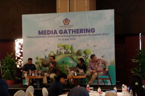 Realisasi anggaran antisipasi perubahan iklim capai Rp569 triliun