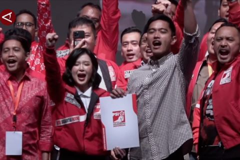 Kaesang maju Pilkada 2024, Grace Natalie: Sudah cukup umur
