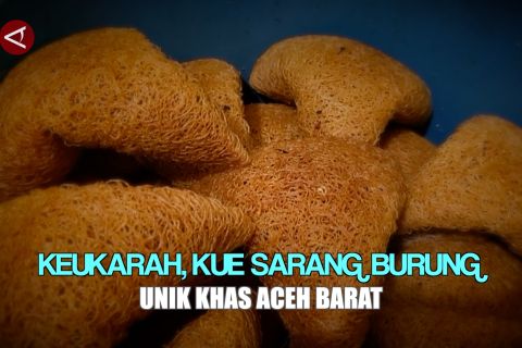 Keukarah, kue sarang burung unik khas Aceh Barat