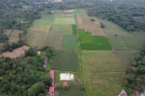 Pembangunan rumah bagi warga terdampak bencana Marapi segera dimulai