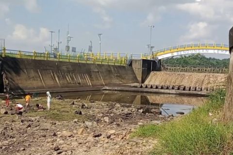 BMKG prediksi musim kemarau terjadi Juni-September 2024