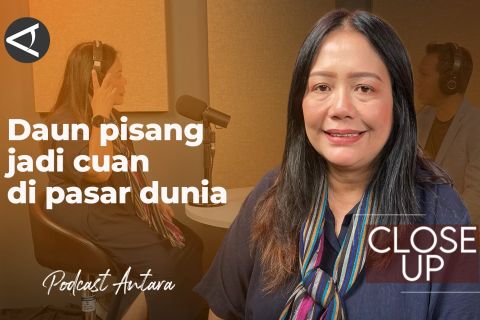 Daun pisang jadi cuan di pasar dunia (1)