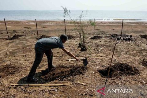Aksi Hari Lingkungan Hidup di sejumlah kota