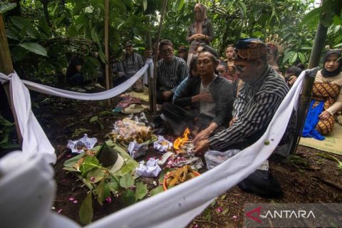 Warga gelar tradisi wiwitan kopi sebagai syukuran hasil panen