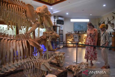 Objek wisata Rahmat International Wildlife Museum dan Galeri di Medan