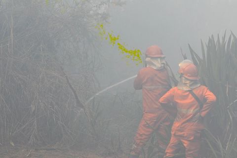 Balai PPIKHL Sumsel minta BPBD segera tetapkan siaga darurat karhutla