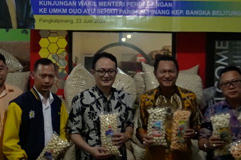 Kemendag RI dorong pelaku UMKM Babel ekspor produk