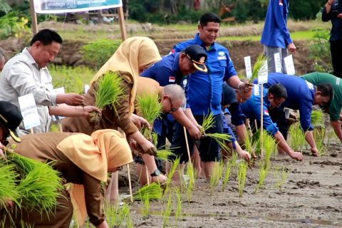 Langkah Pemko Padang cegah alih fungsi lahan pertanian jadi permukiman