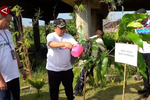 Tambah ruang terbuka hijau, Banjarmasin tanam 1.200 pohon