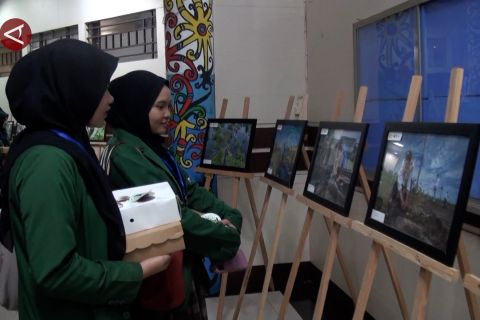 Meninjau hasil konservasi orangutan di TN Sebangau dalam pameran foto