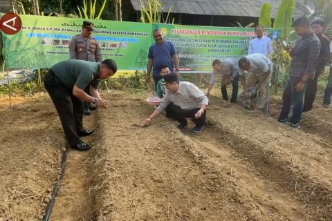 Pemko Lhokseumawe giat bergerak tingkatan produksi bawang merah