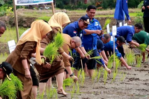 Sekolah Lapangan Iklim ajak petani beradaptasi dengan perubahan iklim