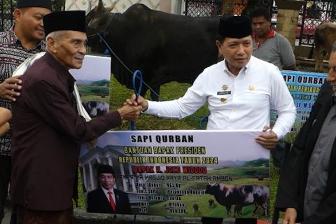 Pj gubernur Maluku serahkan sapi Presiden ke Masjid Raya Alfatah Ambon