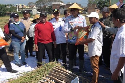 Upaya Pemkot Malang jaga lahan dan ketahanan pangan