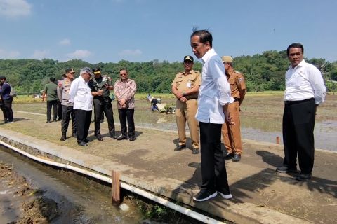 Tinjau pompanisasi, Jokowi berharap petani bisa lewati masa kekeringan