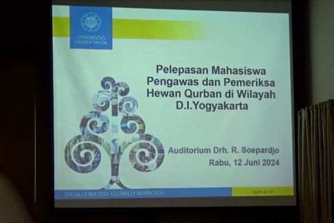 UGM terjunkan mahasiswa dampingi penyembelihan hewan kurban