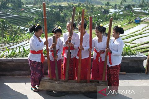 Pembukaan Jatiluwih Festival 2024 di Tabanan