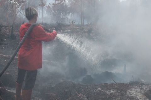 BPBD Palangka Raya duga kebakaran lahan ada unsur kesengajaan