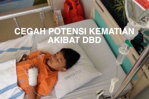 Cegah potensi kematian akibat DBD lewat medikasi yang tepat