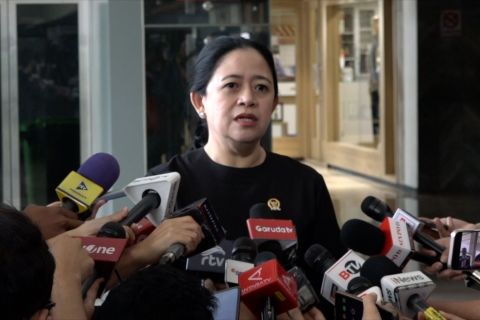 Dirjen Aptika Kominfo mundur, Puan sebut Menkominfo bisa dievaluasi