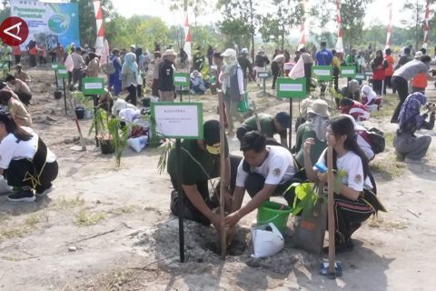 Hijaukan lahan kritis akibat tambang & deforestasi lewat Semarak Babel