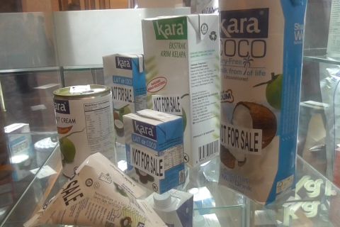 Jokowi anjurkan pemanfaatan komoditas kelapa mengarah ke teknologi