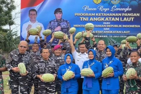 Panen akbar perdana 800 kg semangka dari lahan tidur Lanal Lhokseumawe