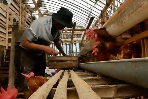 Temanggung berdayakan masyarakat untuk entaskan kemiskinan ekstrem