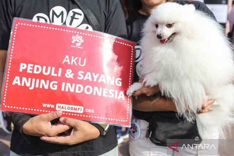 Kampanye perlindungan anjing