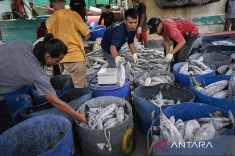 KKP catat ekspor produk perikanan pada semester I 2024 meningkat