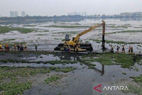Begini proses pengangkutan eceng gondok untuk antisipasi banjir di Waduk Pluit