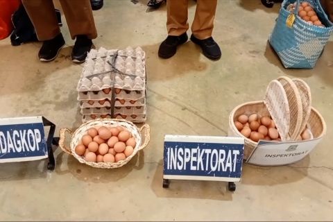 Ajak ASN tekan stunting, Tangerang luncurkan Satu Telur Satu Minggu