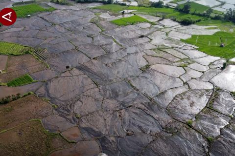 Kementan pastikan ketersediaan pupuk di daerah terdampak bencana