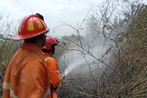 Kebakaran lahan marak, Damkar Jember imbau warga waspada bakar sampah