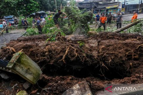 Bencana angin kencang di Lebak menyebabkan sejumlah bangunan rusak