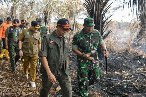 Kepala BNPB tinjau karhutla di Sumatera Selatan