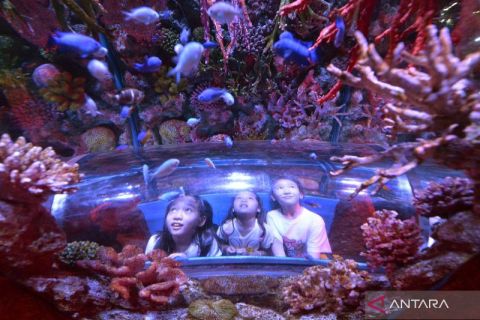 Berkunjung ke Bangkok Sea Life Ocean World