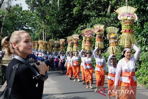 Tradisi Mapeed Alas Kedaton di Tabanan Bali