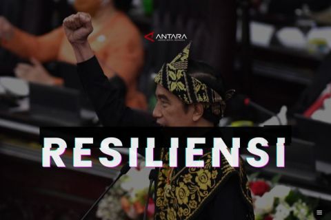 Resiliensi