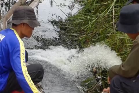 Pemprov Kalsel basahi hutan lindung kawasan bandara cegah karhutla