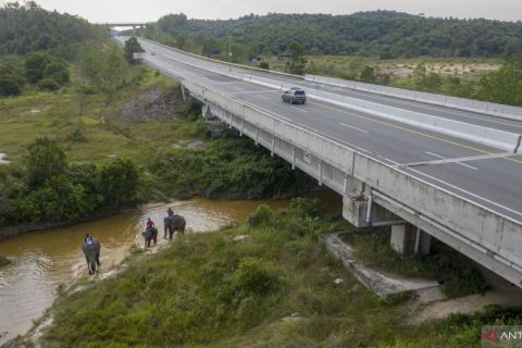 Harmonisasi gajah dan manusia di tol permai